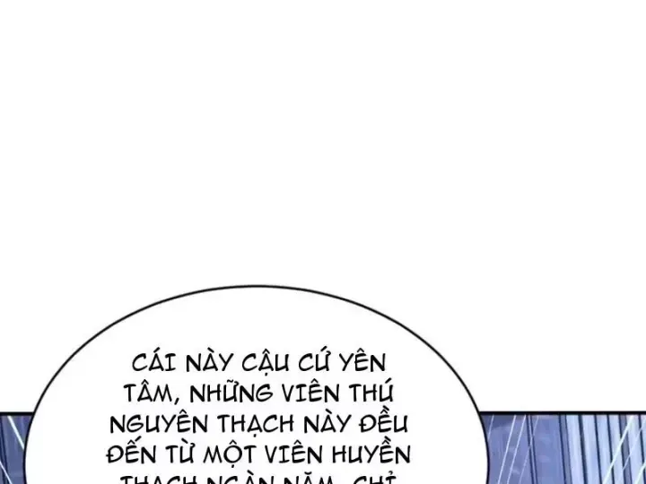 Chapter 146