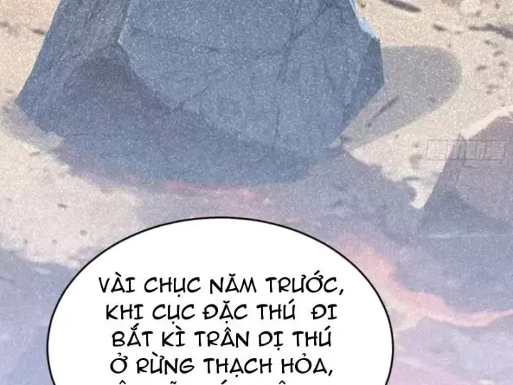 Chapter 146