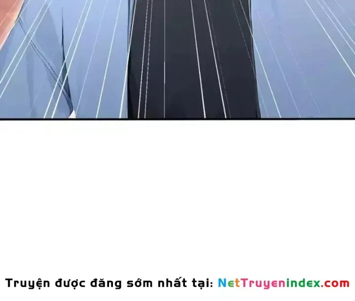 Chapter 146
