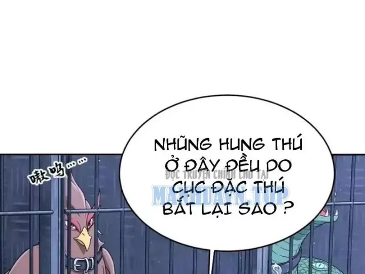 Chapter 146