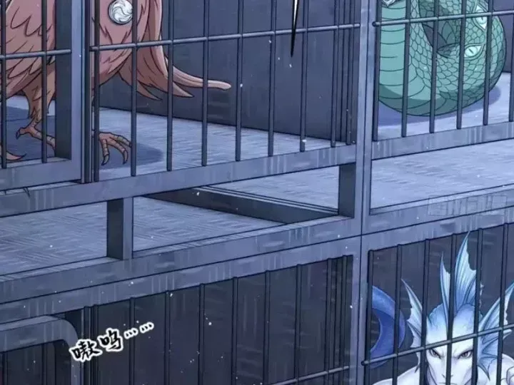 Chapter 146