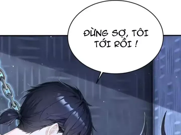 Chapter 146