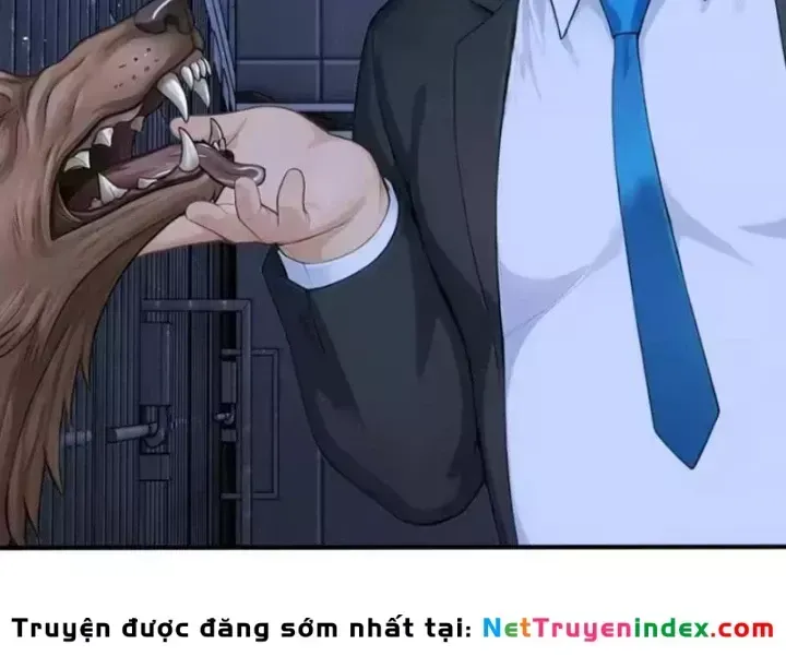 Chapter 146