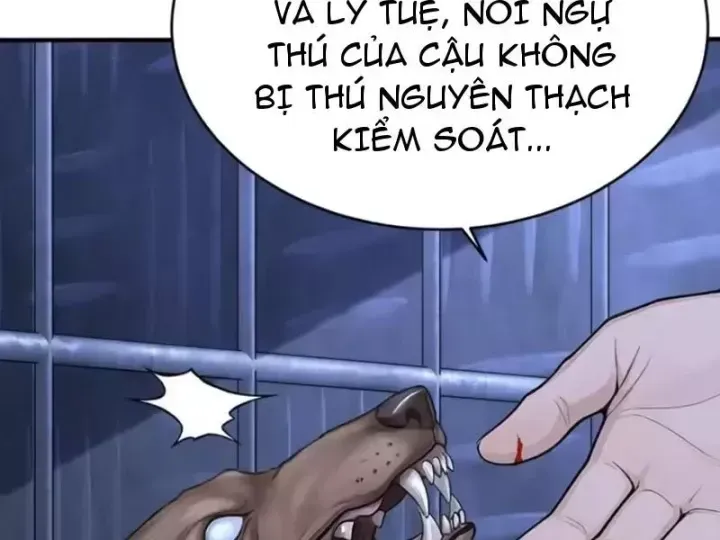 Chapter 146