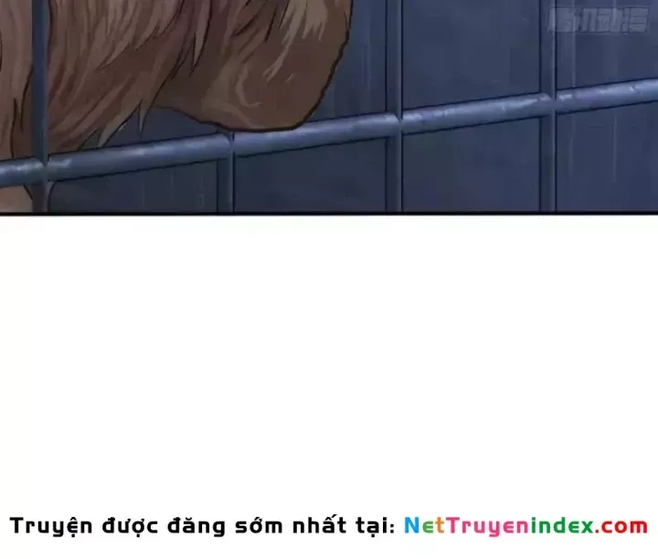 Chapter 146