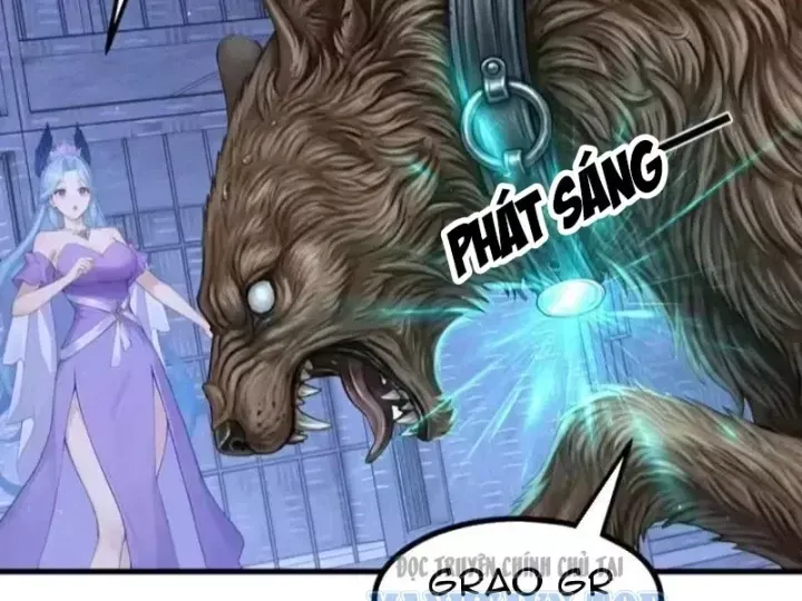 Chapter 148