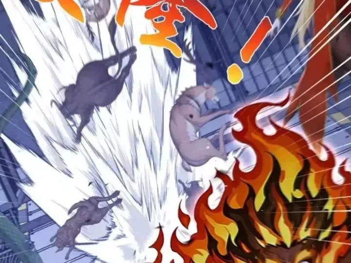 Chapter 148