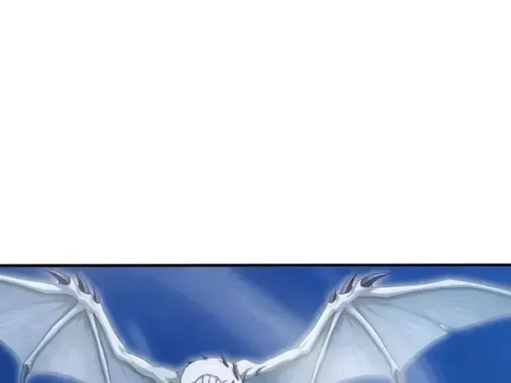 Chapter 155