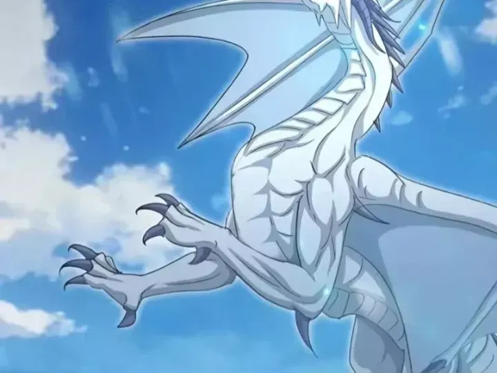 Chapter 155