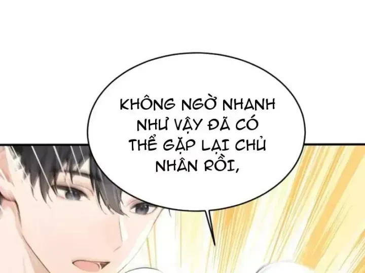 Chapter 155