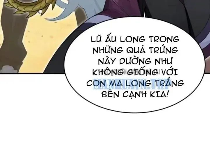 Chapter 156