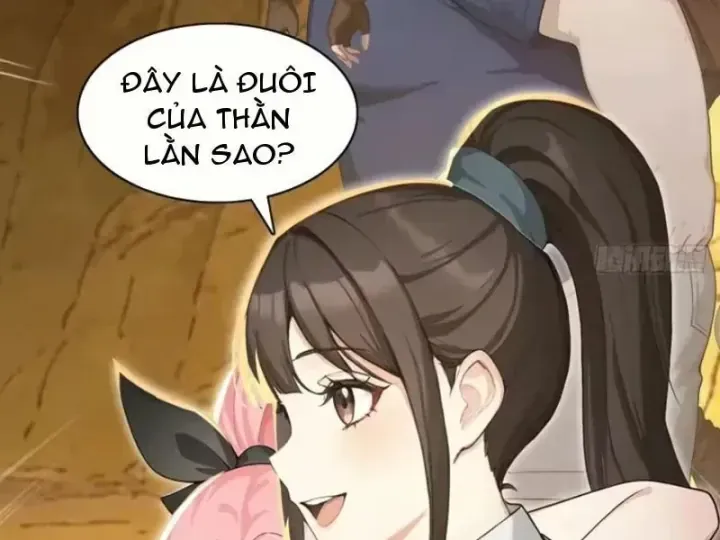 Chapter 156