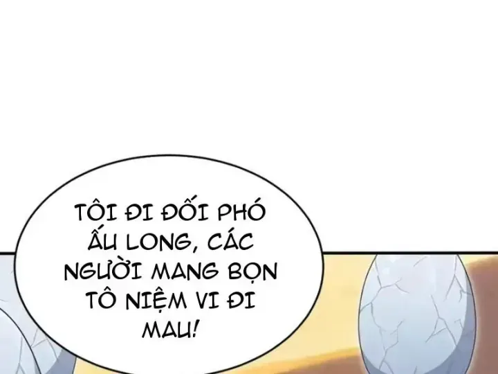 Chapter 156