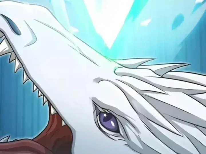 Chapter 156