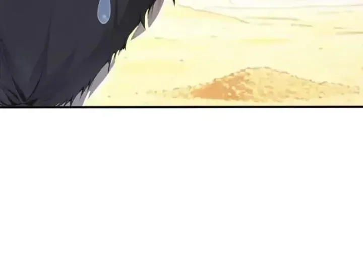 Chapter 156