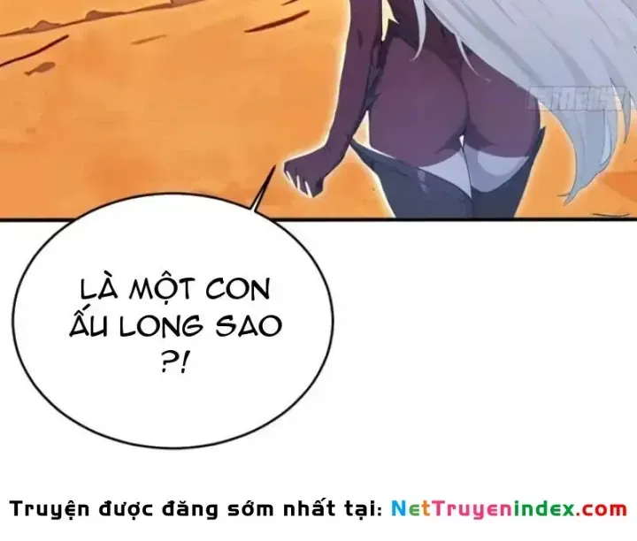 Chapter 156