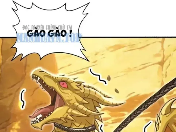 Chapter 156