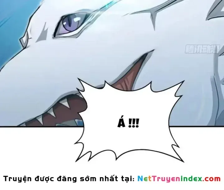 Chapter 156