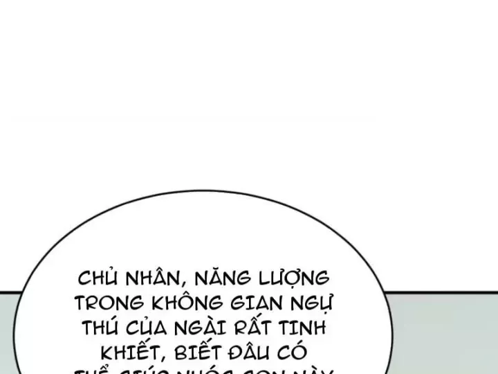 Chapter 161