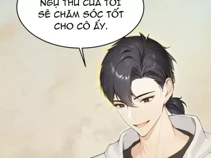 Chapter 161