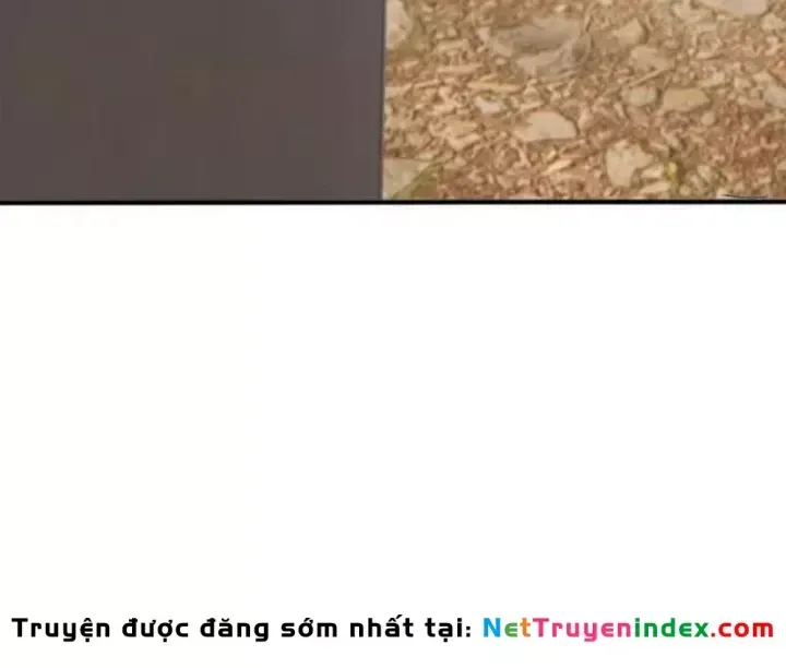 Chapter 161