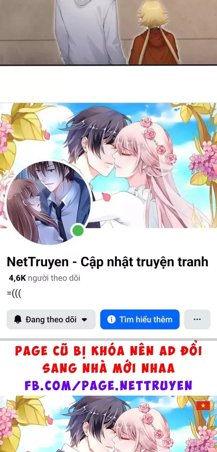 Chapter 161