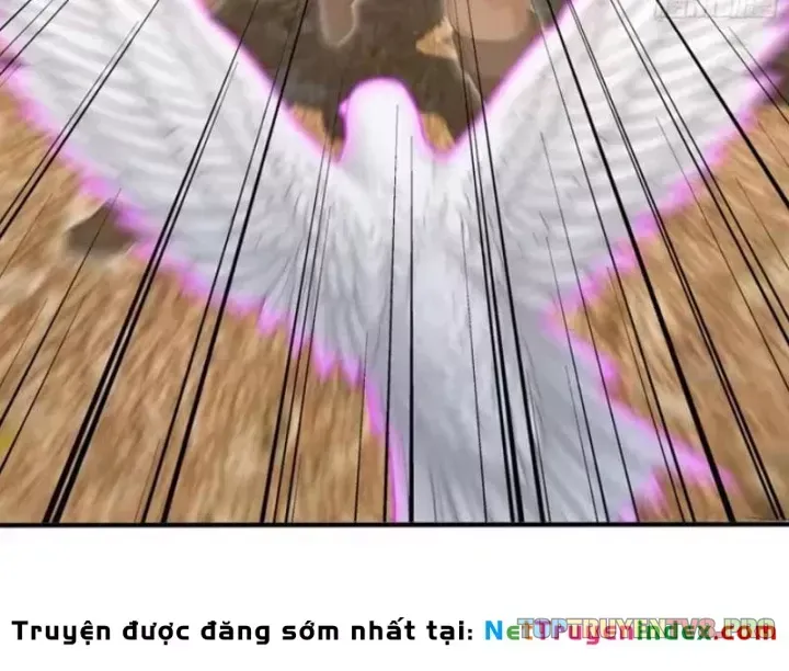 Chapter 161