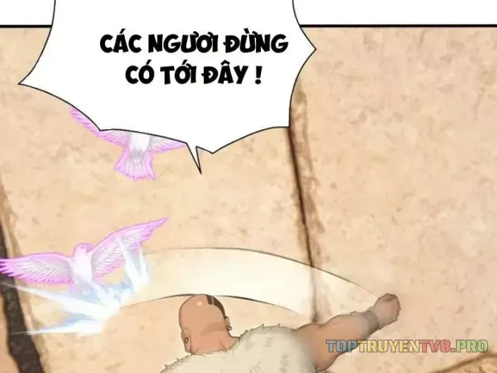 Chapter 161