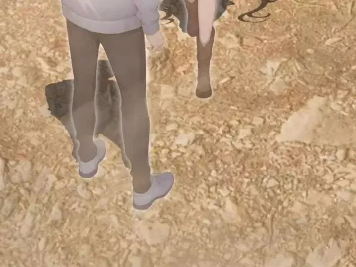 Chapter 161