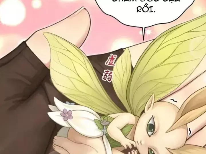 Chapter 161