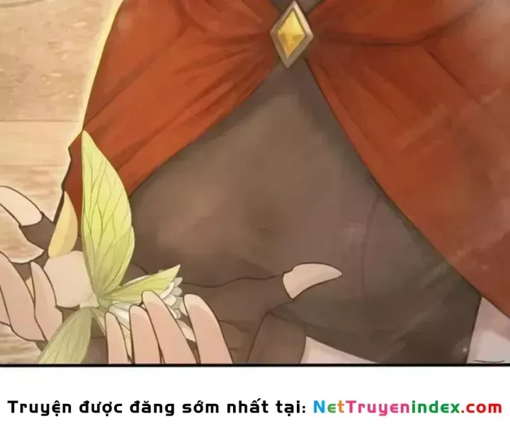 Chapter 161