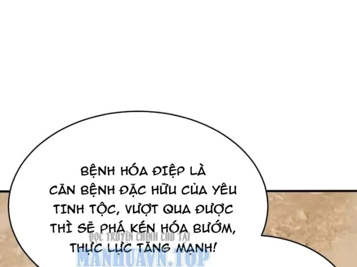 Chapter 161