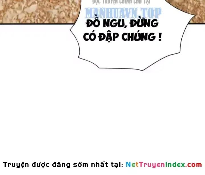 Chapter 161