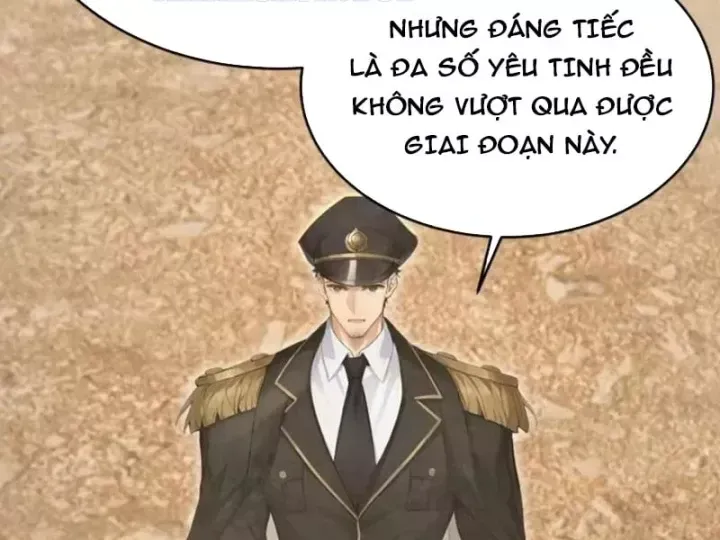 Chapter 161