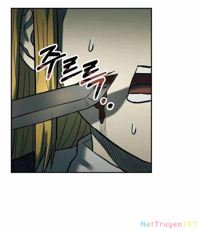 Chapter 41