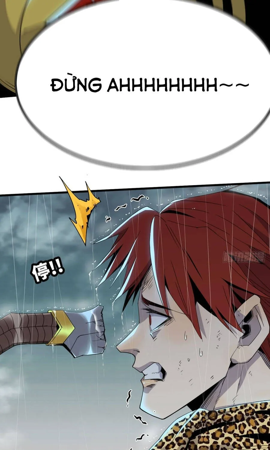 Chapter 11