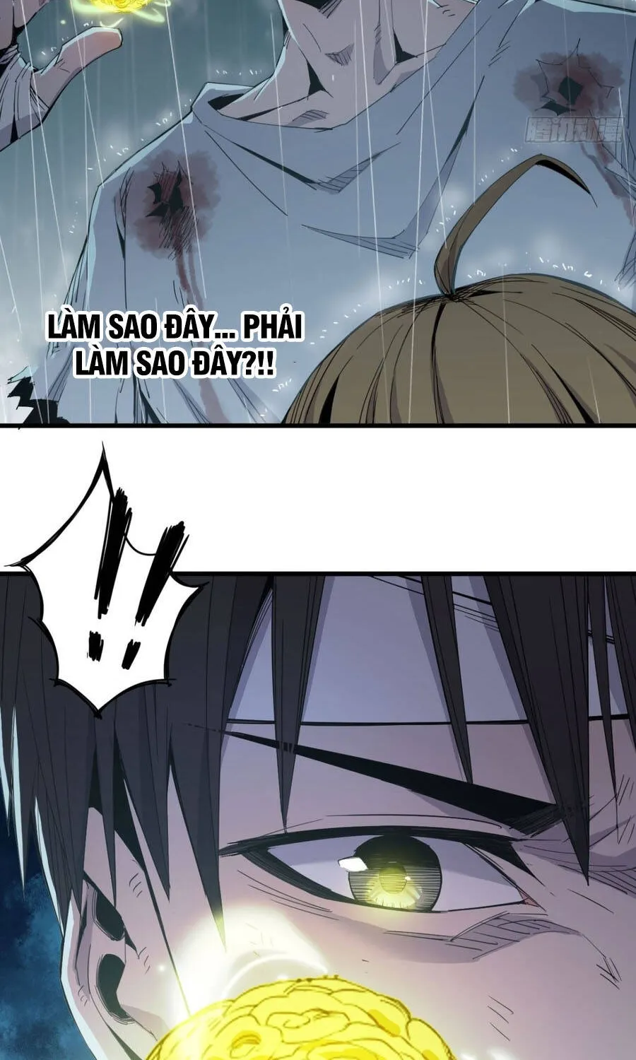 Chapter 11