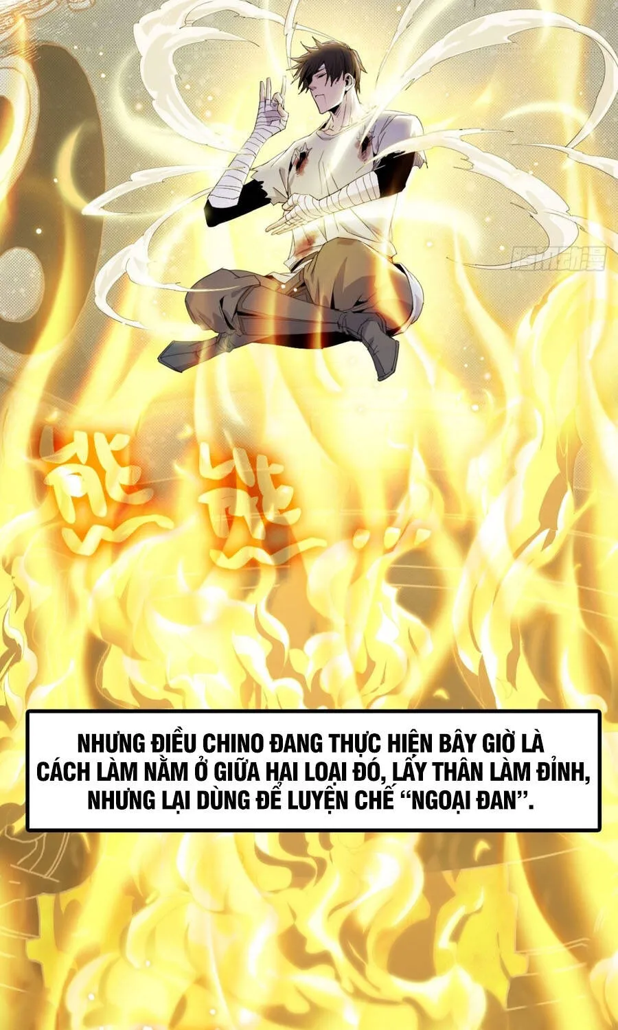 Chapter 12