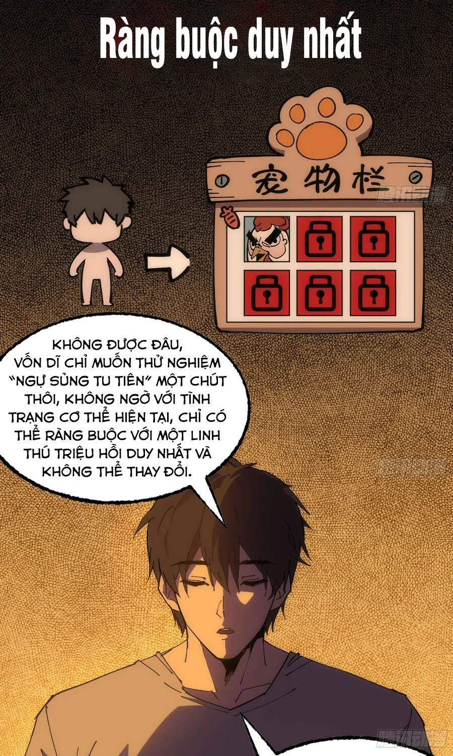 Chapter 13