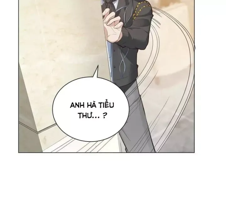 Chapter 84