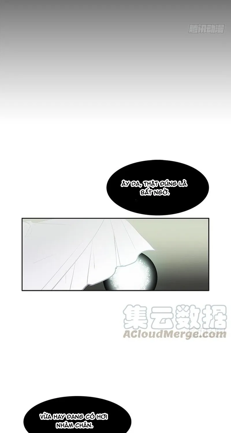 Chapter 282