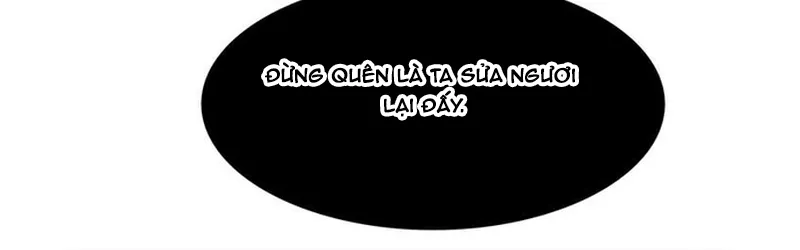 Chapter 282