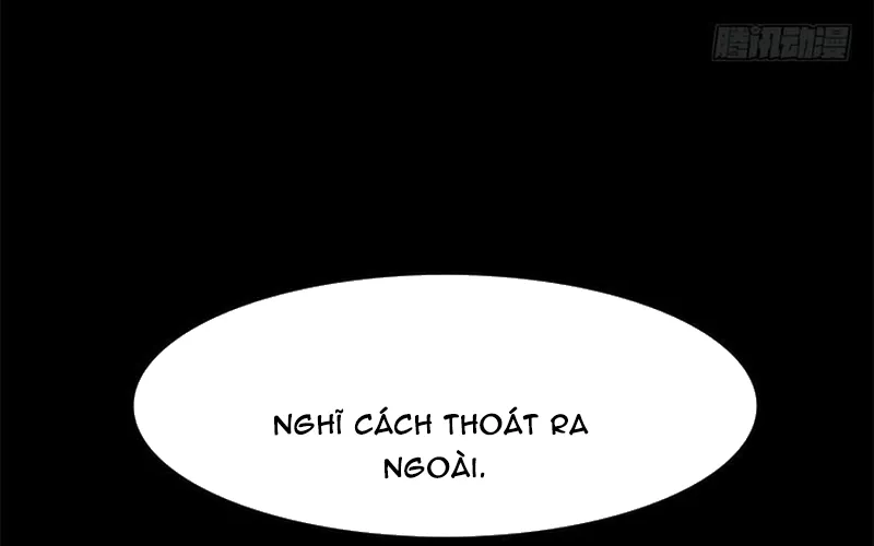 Chapter 284