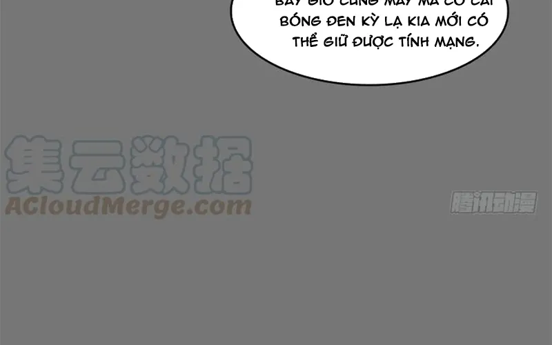 Chapter 285