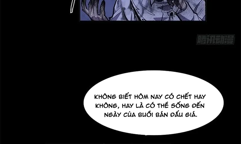 Chapter 285