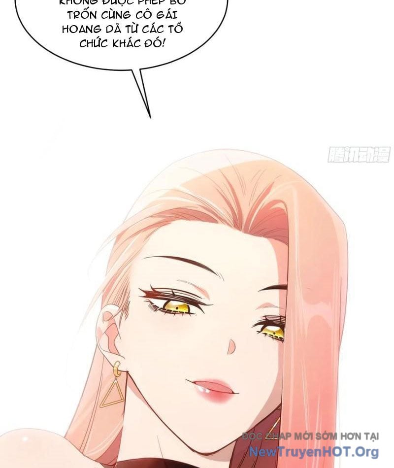 Chapter 11