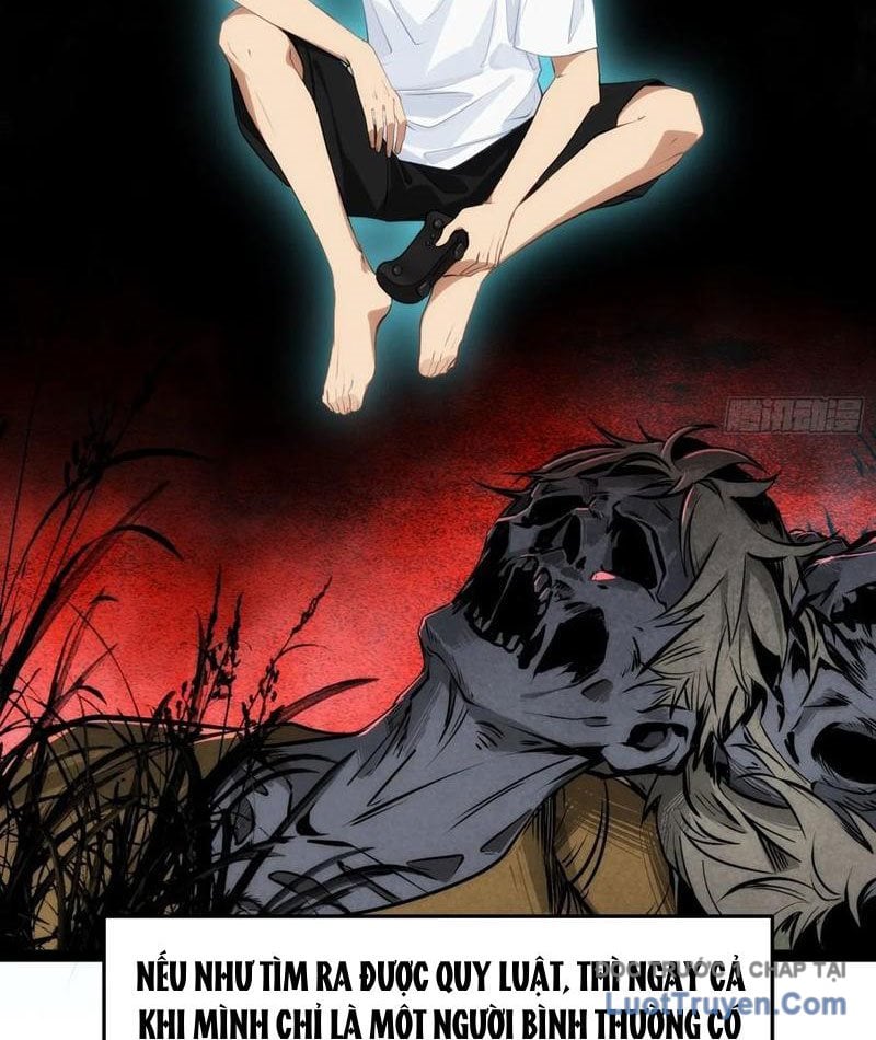 Chapter 13