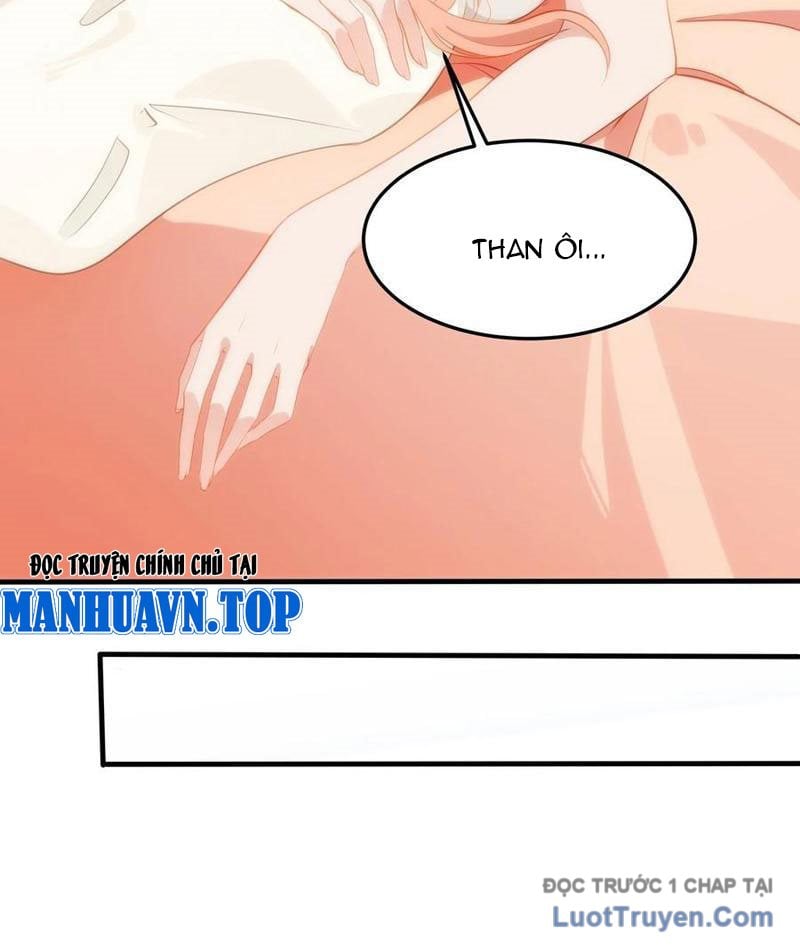 Chapter 13