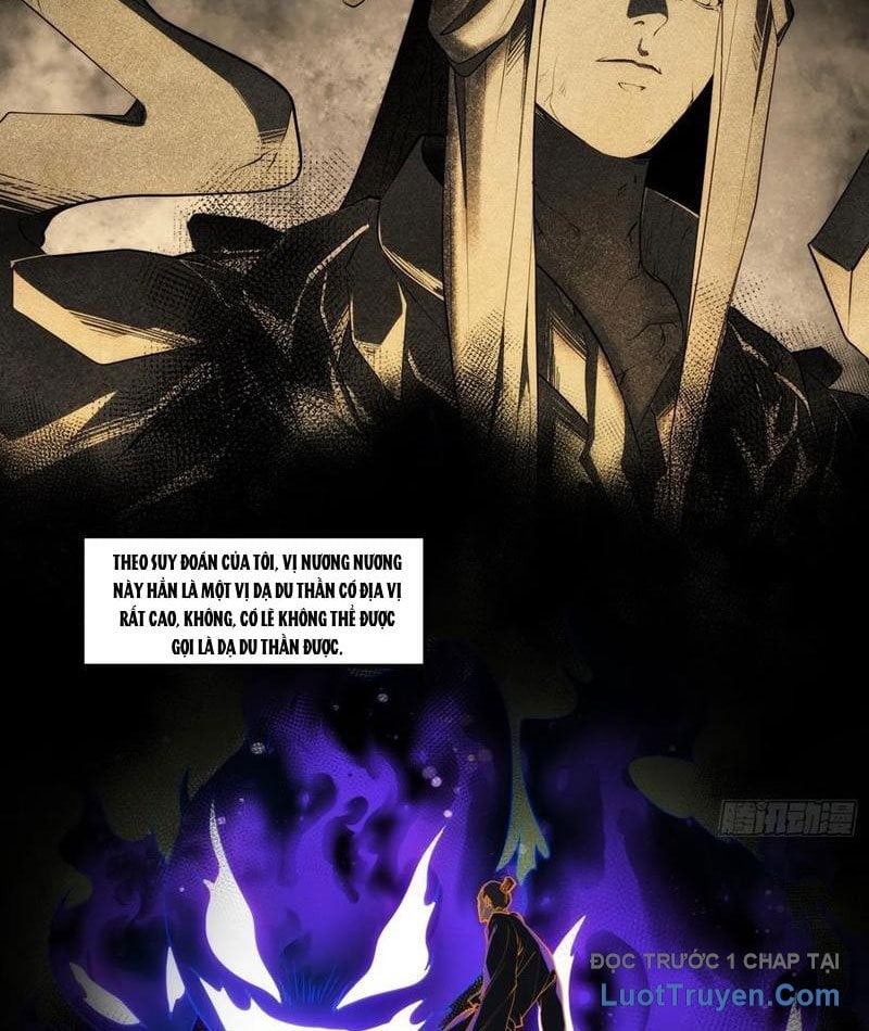Chapter 13