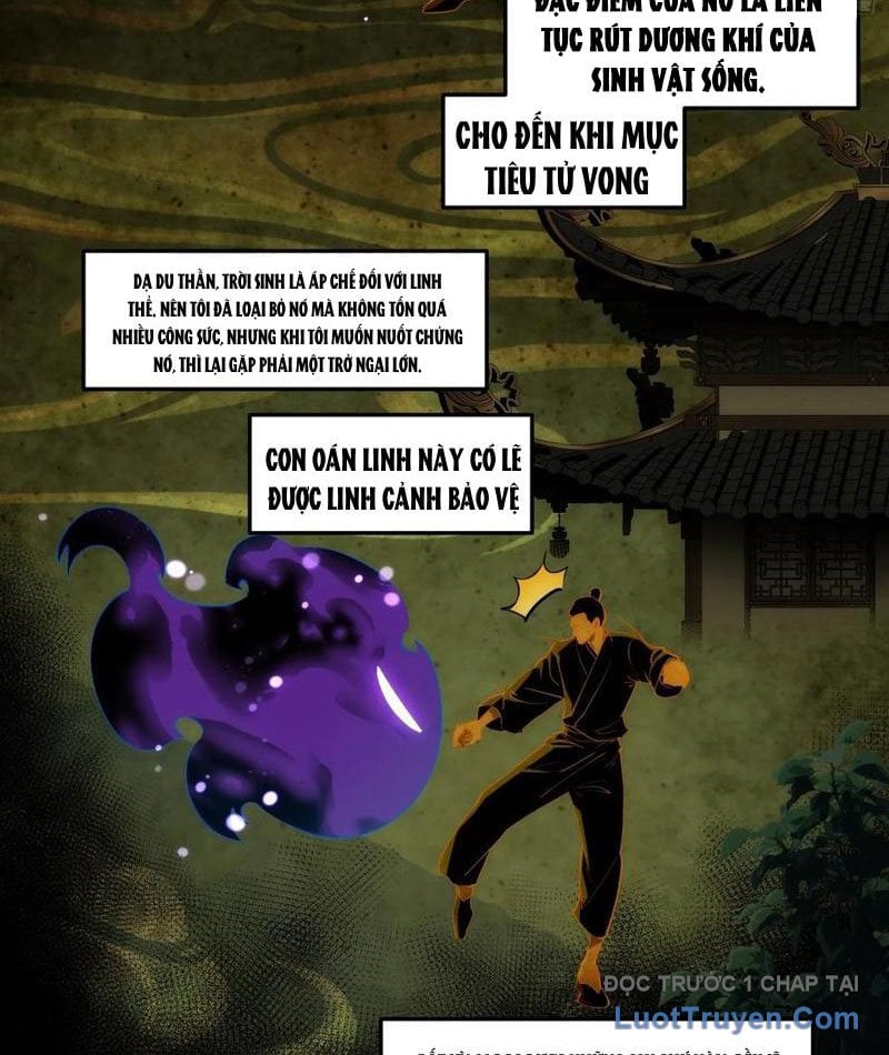 Chapter 13